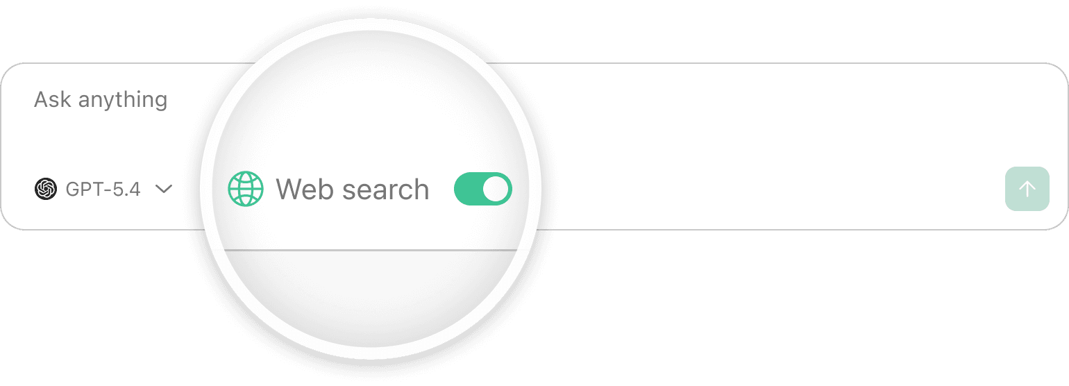web search